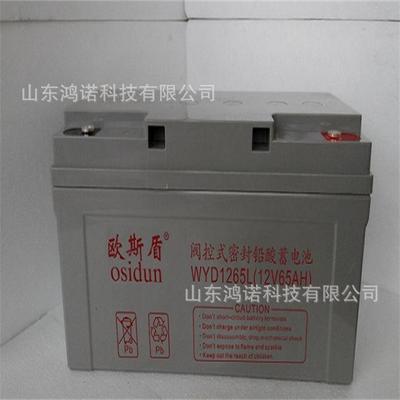 蓄电池WYD1265L阀控式铅酸12V65AH 免维护UPS电池