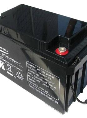 TL12650 12V65AH船舶系统电源 直流屏 UPS/EPS配套电