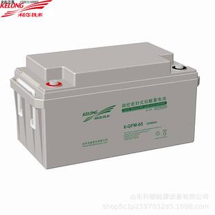 应急电源 科华KELONG铅酸蓄电池12V24AH 科华6 GFM 24阀控密封式