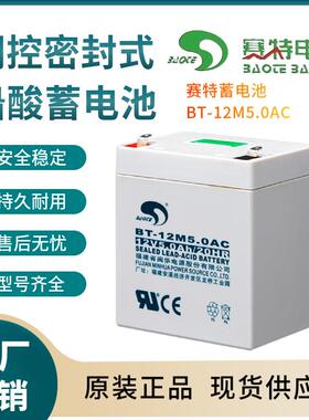 BT-12M5.0AC 12V5.0AH 全国联保 电源备用 电子设备