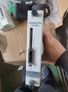 ABB贝利Bailey Symphony Plus NPM22 议价