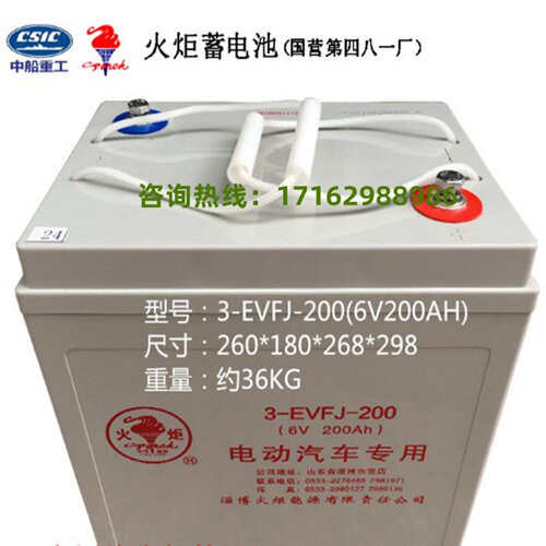 淄博火炬电动汽车电瓶3-EVF-200