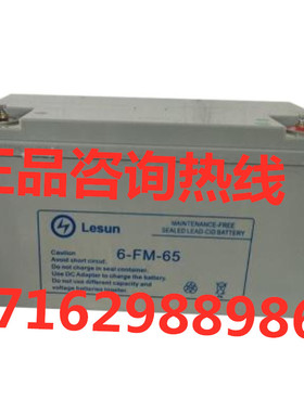 Lesun蓄电池6-FM-65 铅酸免维护电池12V65AH适用于UPS/EPS 太阳能