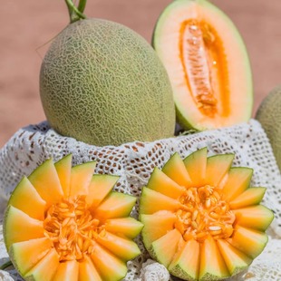 水果吐鲁番西州蜜25号蜜新鲜水果 正宗新疆哈密瓜整箱新鲜当季
