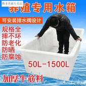 养鱼箱储水箱大号长方形加厚塑料大容量周转收纳加厚牛筋塑料水箱