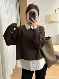 欧货时尚拼接拼色假两件POLO领卫衣女秋季高级感宽松减龄长袖上衣