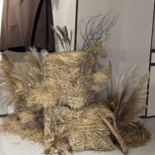 秋冬草垛芦苇服装店铺橱窗落地氛围摆件道具稻草堆订货会美陈造景