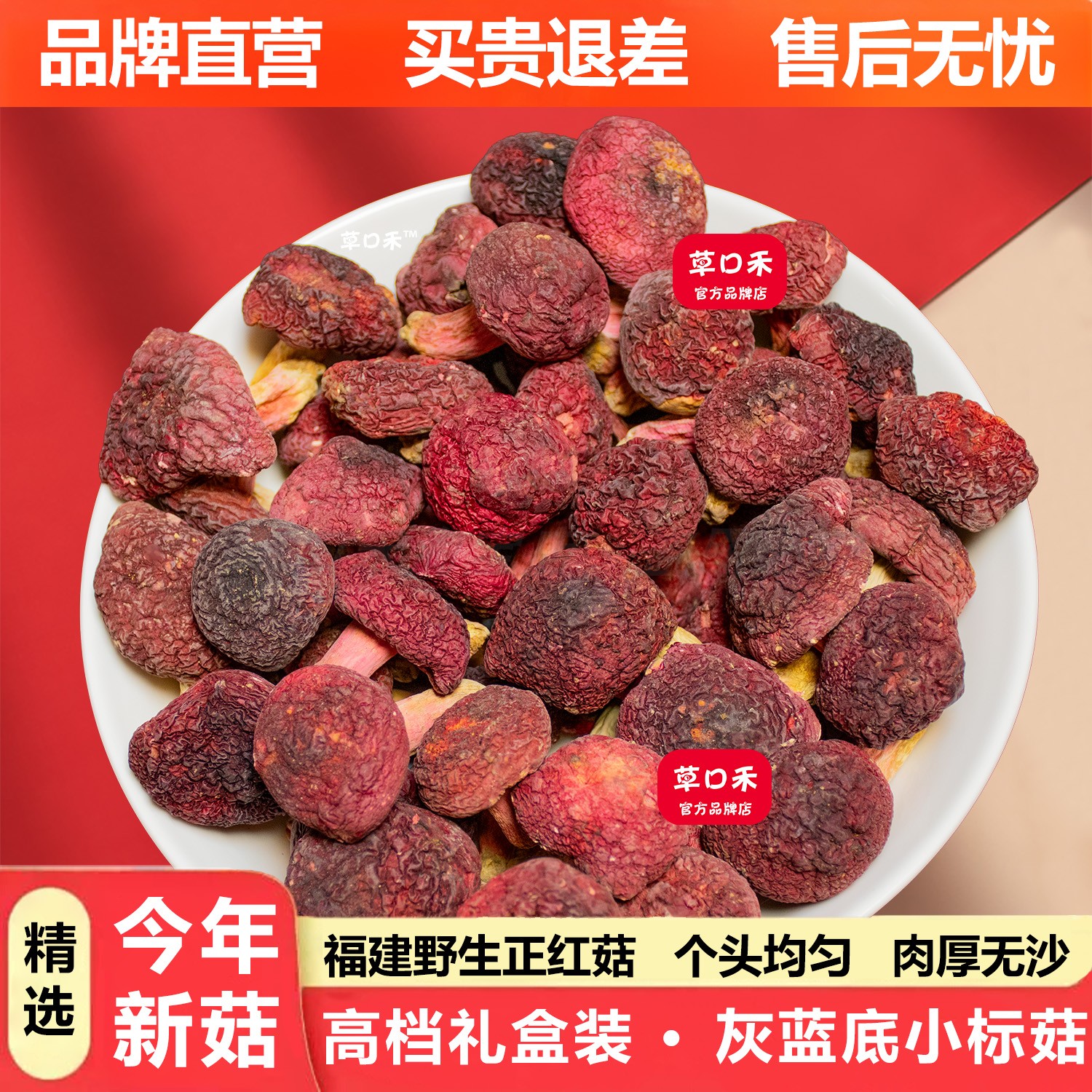 草口禾红菇福建野生三明特产蓝底正宗天然月子红姑干货特级大红菌