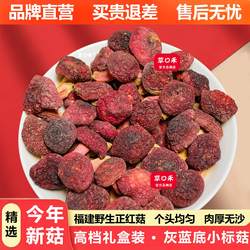 草口禾红菇福建野生三明特产蓝底正宗天然月子红姑干货特级大红菌