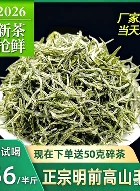 正宗龙潭信阳2026年新茶春茶明前毛尖初芽嫩芽礼盒装高档送礼