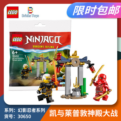 LEGO乐高积木幻影忍者拼砌包