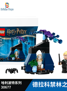 LEGO乐高积木哈利波特30677德拉科禁林之旅拼砌包儿童玩具礼物