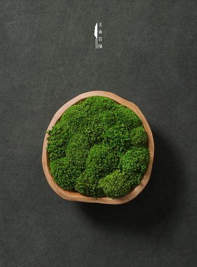 2026天青苔绿 侘寂风原木新中式 样板房民宿酒店永生苔藓实木创意