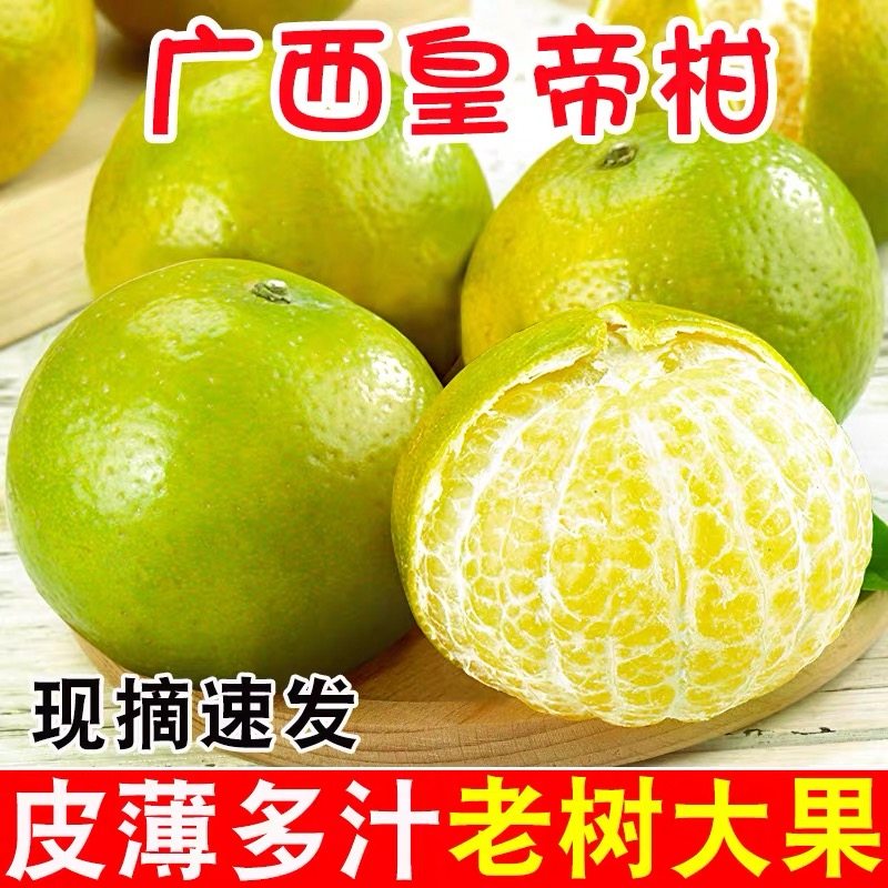 正宗广西皇帝柑新鲜水果10斤特级大果当季沃桔橘子整箱黄贡柑整箱