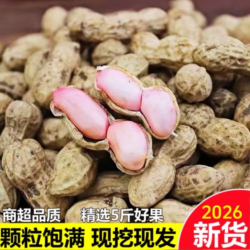 2026年农家自种新鲜湿花生带壳粉皮红皮地豆现挖当季小粒泥花生