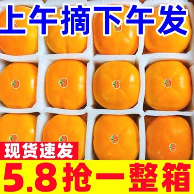 巧克力脆柿子新鲜水果