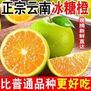 云南冰糖橙5斤大果哀牢山新鲜现摘玉溪10斤青皮橙子当季 时令水果