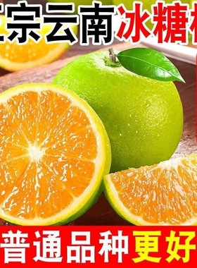 云南冰糖橙5斤大果哀牢山新鲜现摘玉溪10斤青皮橙子当季时令水果