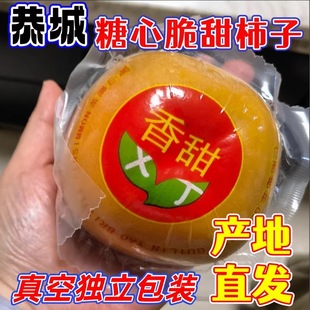 正宗恭城甜脆柿产地直发真空独立包脆甜柿子整箱批发价包邮