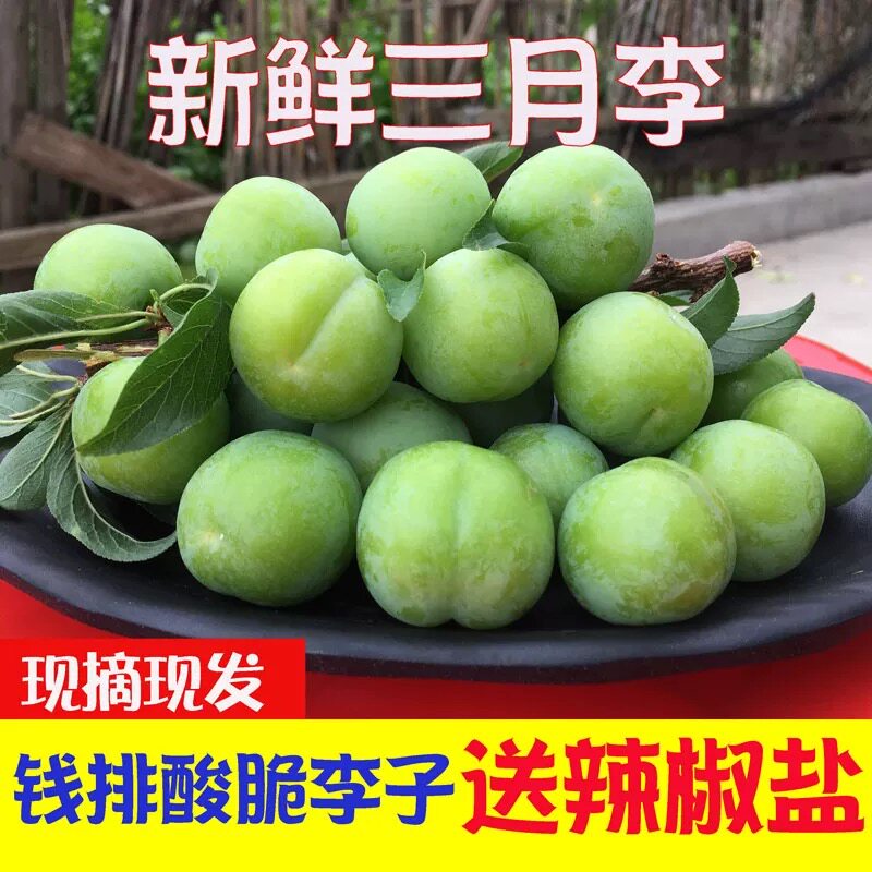广西三月李5斤当季新鲜酸脆李子三华李青脆李孕妇水果开胃整箱