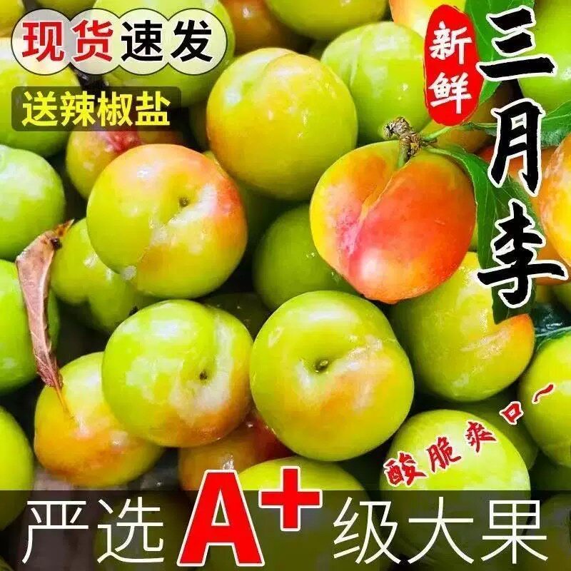 现货大果 5斤三月李新鲜水果李子早熟三华脆孕妇整箱包邮当季现摘