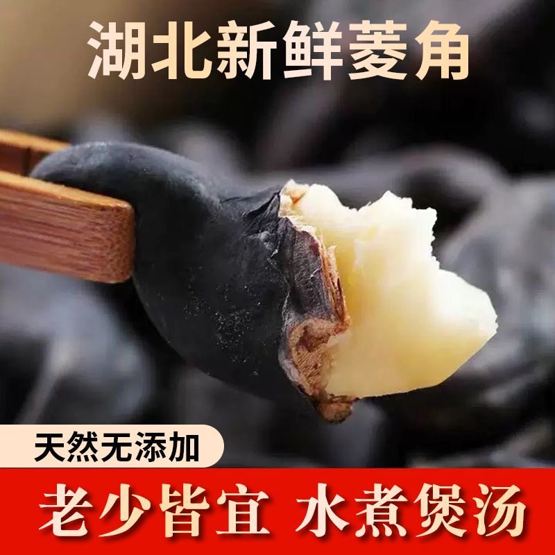 新鲜菱角5斤粉糯老菱角棱角凌角大青菱角菱角米新鲜洪湖菱角包邮