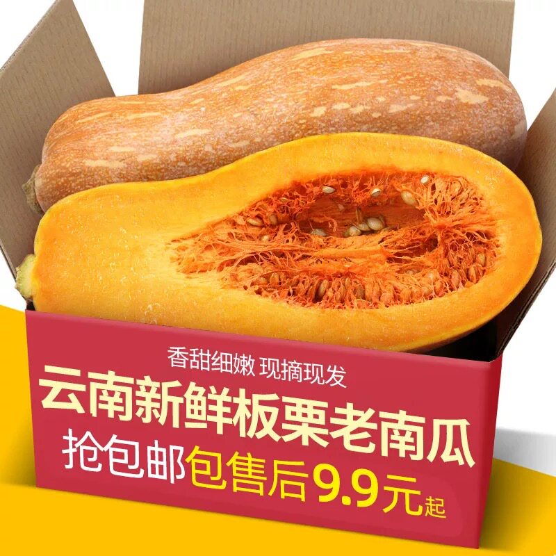 云南高原正宗密本老南瓜老品种南瓜自种甜糯软糯超甜整个小个辅食