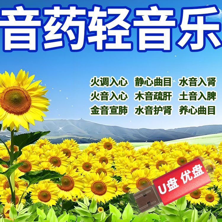 五音养生曲助眠音乐U盘高音质MP3纯音乐养生静心轻音乐舒缓心情