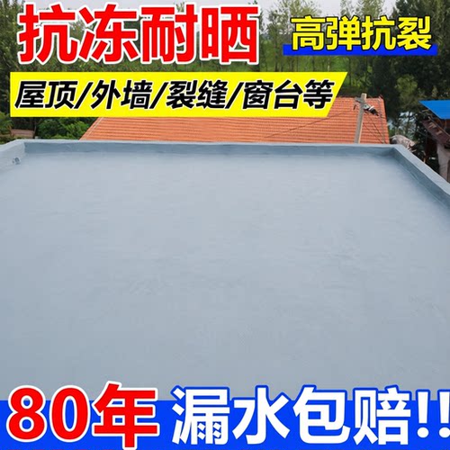 防水涂料屋顶防漏涂料聚氨酯弹性防水胶楼顶裂缝外墙阳台堵漏材料