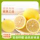 柠檬新鲜四川安岳黄柠檬尤力克新鲜水果薄皮多汁饮品商用品质
