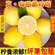 柠檬新鲜黄柠檬非无籽现摘水果供出口一二三级安岳尤力克奶茶商用