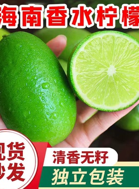 无籽香水柠檬子弹头香柠檬海南青柠檬新鲜水果商用5/9斤独立包装