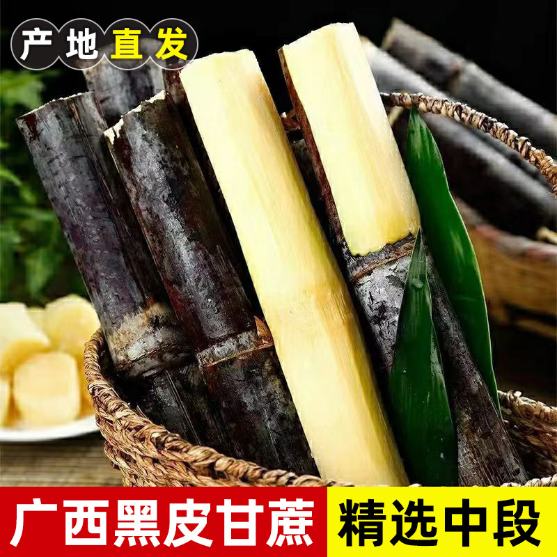广西黑皮甘蔗精选中段脆甜多汁