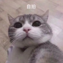 教训链接