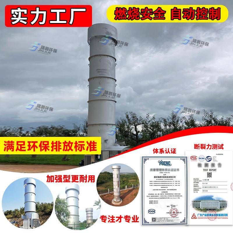 生活垃圾焚烧内燃式沼气火炬发电项目200立方不锈钢沼气火炬
