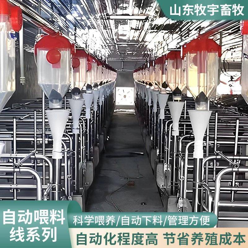 养猪料线全自动赛盘链条上料线养殖场饲料输送料线猪舍上料设备