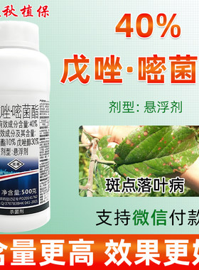彩钻40%戊唑嘧菌酯叶斑病杀菌剂