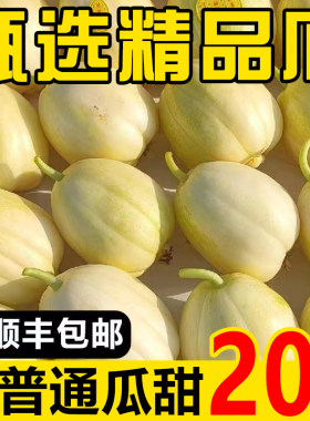 香瓜东北白糖罐脆甜当季现摘小甜瓜孕妇水果新鲜应季5斤10斤整箱