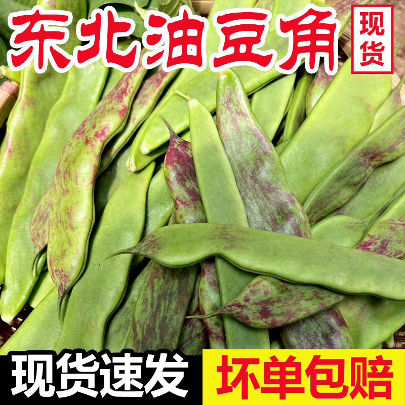 东北特产油豆角一点红开锅烂新鲜蔬菜九月青黑龙江整箱包邮5斤10