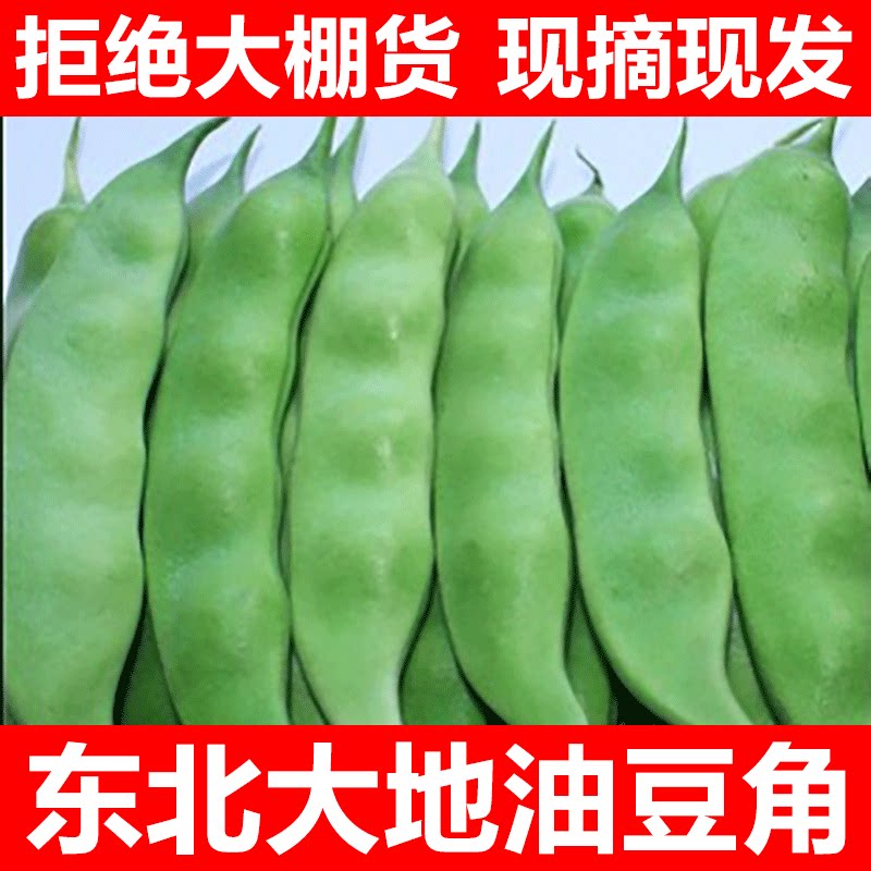 东北特产油豆角一点红开锅烂新鲜蔬菜九月青黑龙江整箱包邮5斤10图片
