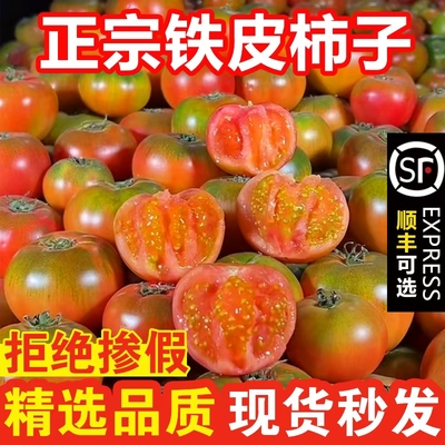 正宗草莓柿子丹东铁皮绿腚西红柿新鲜自热熟沙瓤生吃番茄水果顺丰