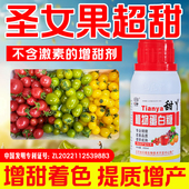 圣女果增甜剂零激素增甜剂着色水果专用水溶肥果树保花保果叶面肥