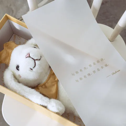 玩偶活动毛绒公仔兔子女生Dabron品牌玩具可爱关节原创设计礼物