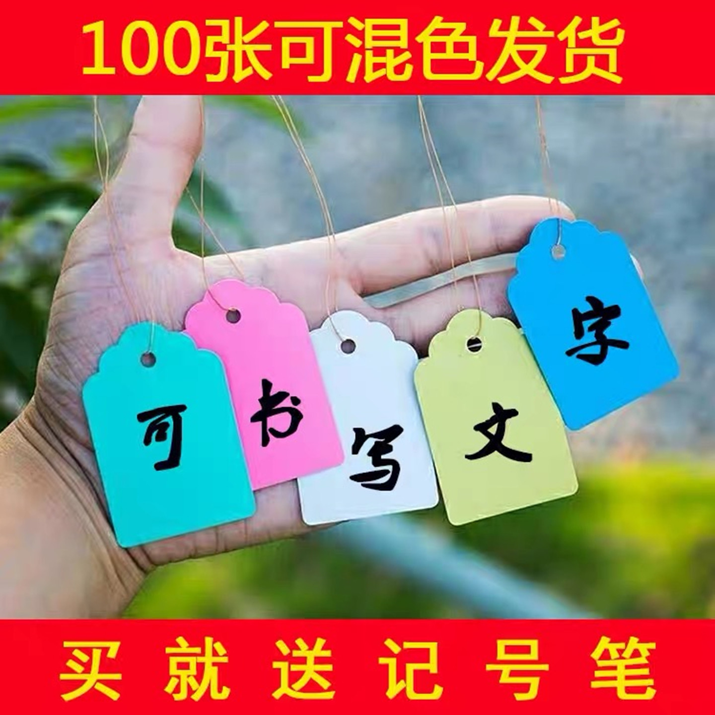 苗木植物标签牌吊牌塑料防水园艺彩色挂绳盆栽种子价签葡萄花卉牌