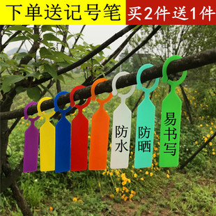 园艺标签环扣式环套加厚防水植物苗木花卉葡萄瓜果分类悬挂标记牌