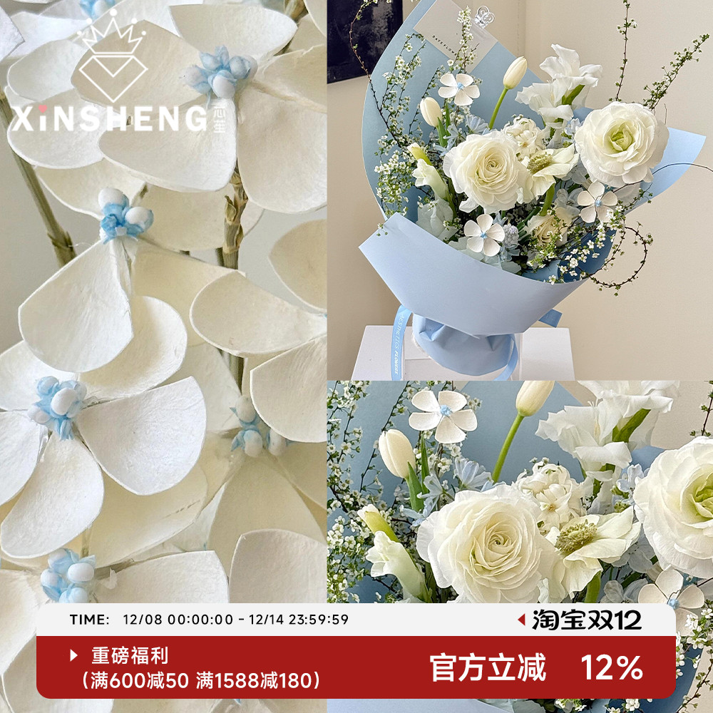 芯苼蓝星花干花花艺资材