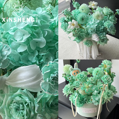 芯苼薄荷绿染色剂多彩绚烂