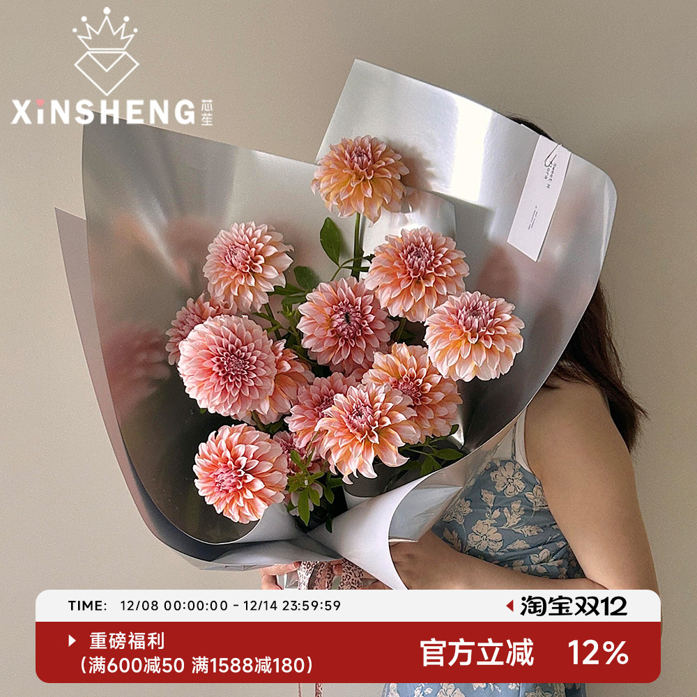 芯苼加厚造型纸高级质感