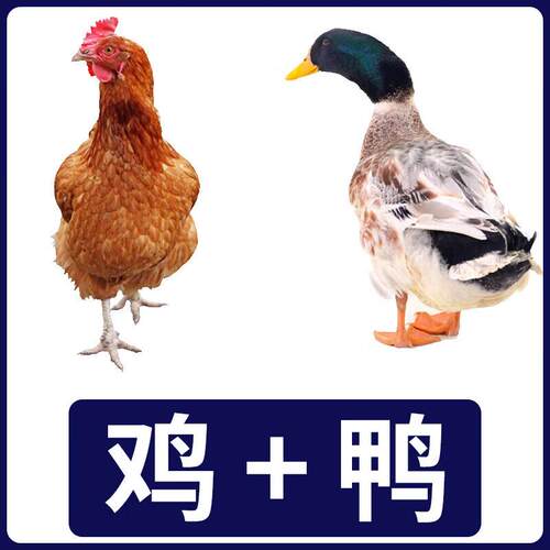 OTHER/其他冻干狗粮通用型泰迪柯基小型犬粮大型金毛拉布拉多边牧