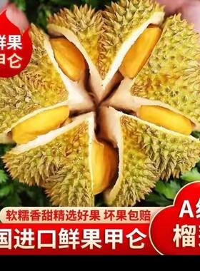 泰国甲仑榴莲带壳托曼尼金枕榴莲新鲜水果当季金枕榴莲鲜果A果